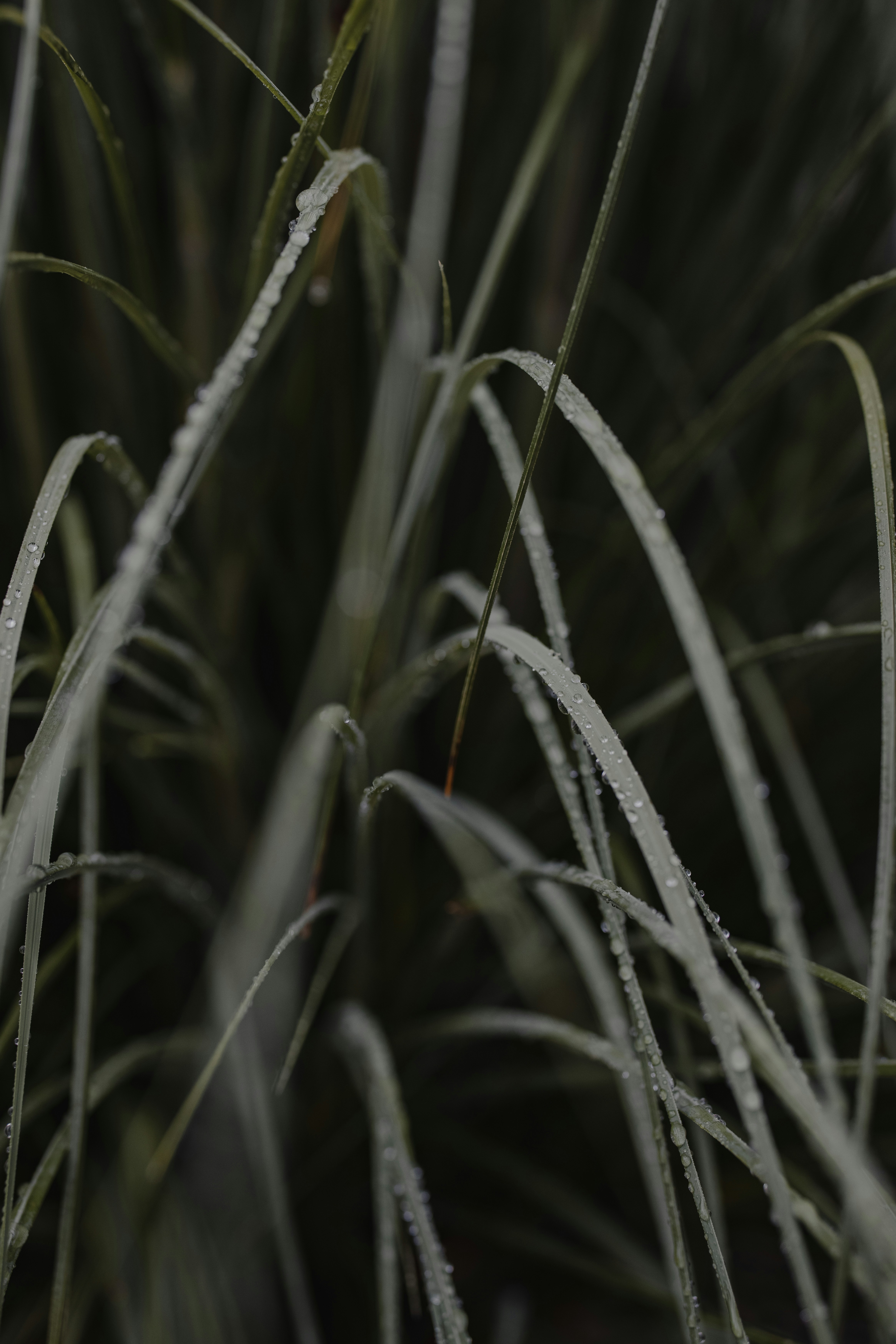 Photo by patresinger