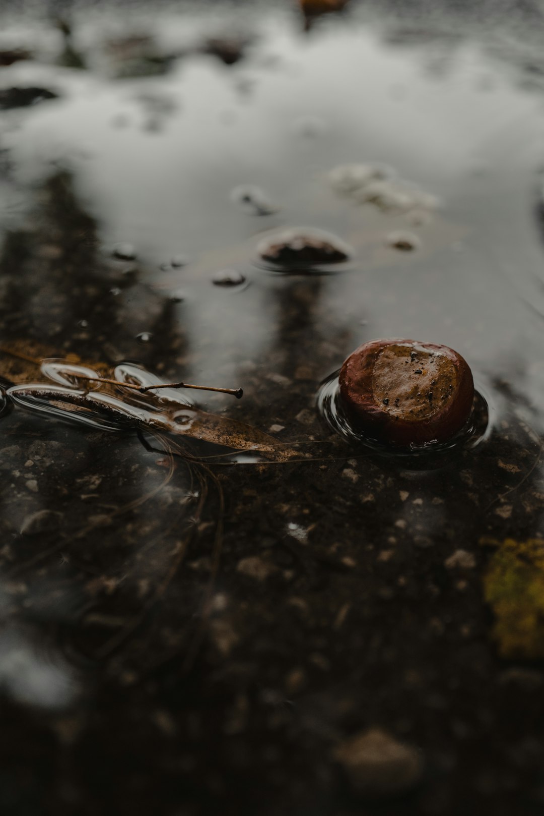 brown round fruit on black surface