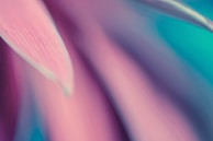 A close-up of ethereal artwork featuring pastel colors and whimsical designs.