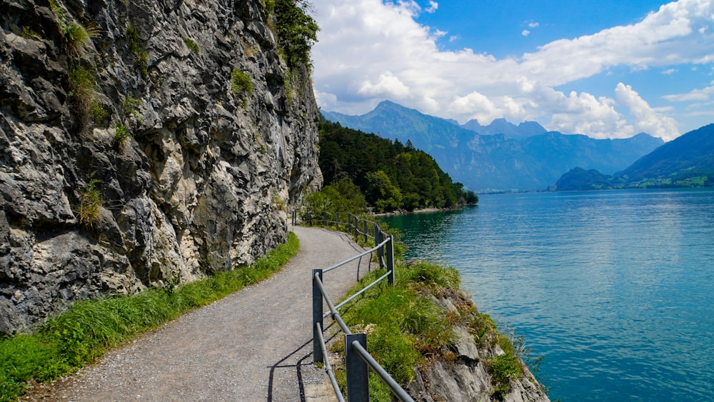 gray metal railings near body of water during daytime