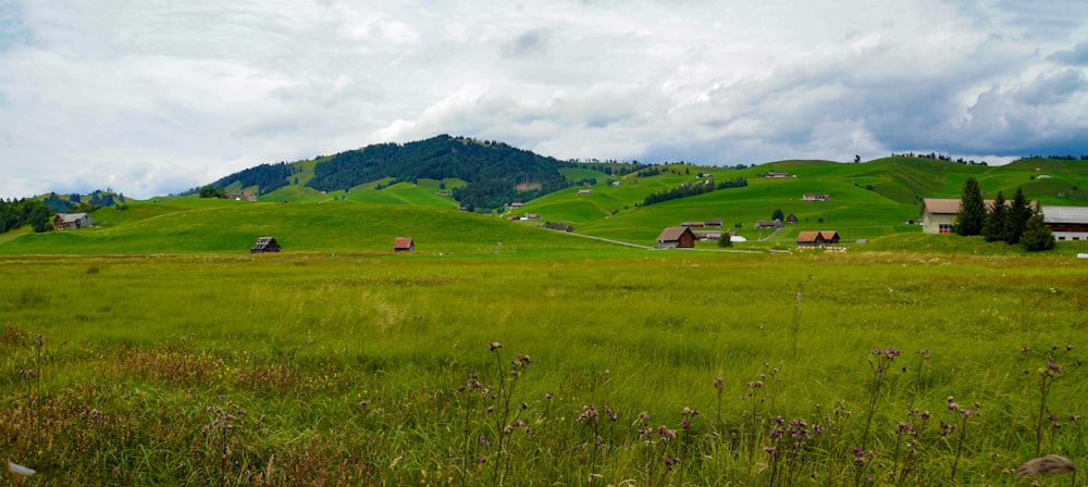 green grass field under white cloudy sky during daytime