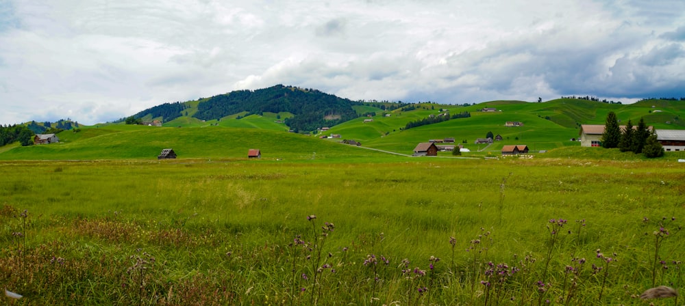 campo de hierba verde bajo el cielo nublado blanco durante el día