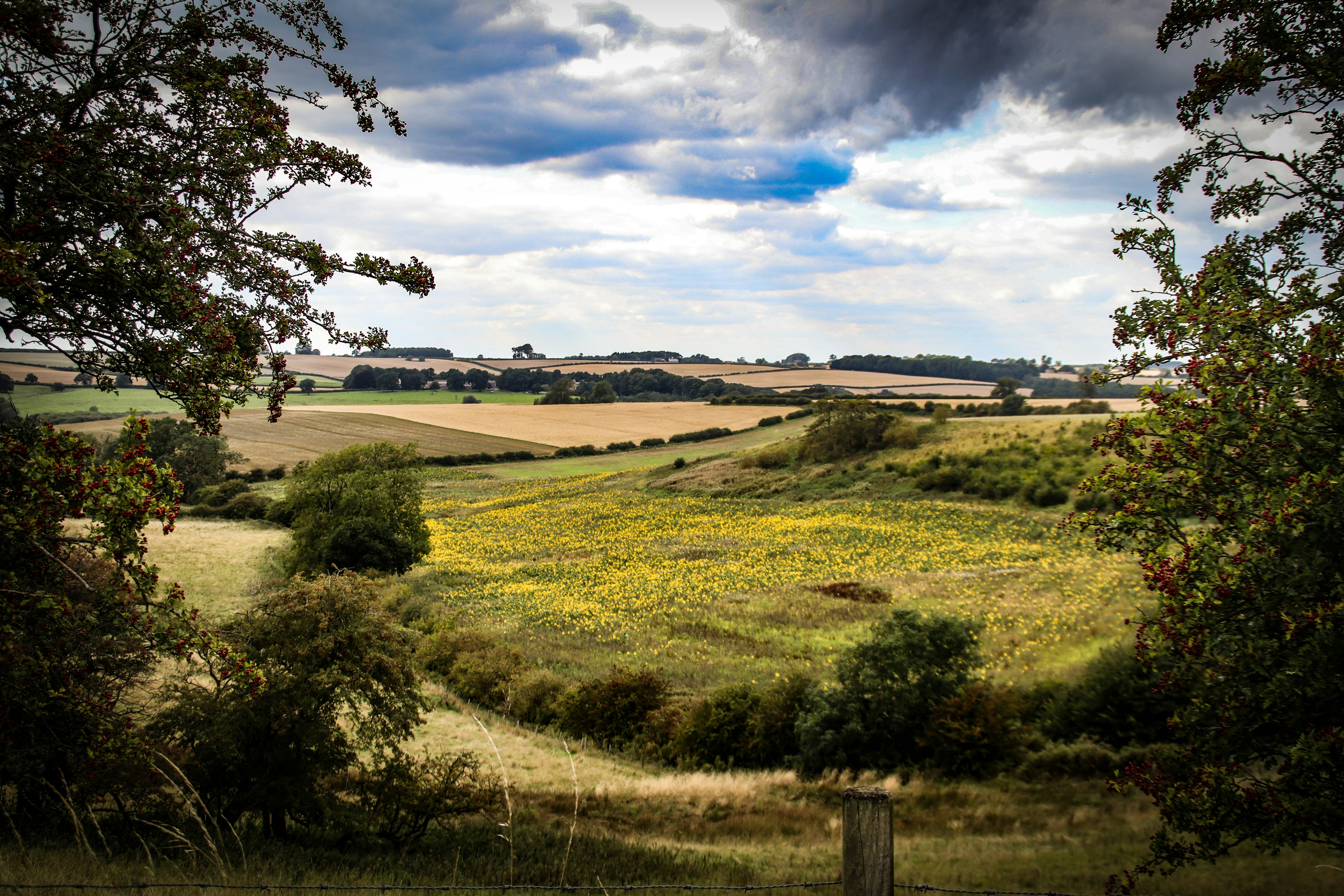 Photo by kingschamberoates