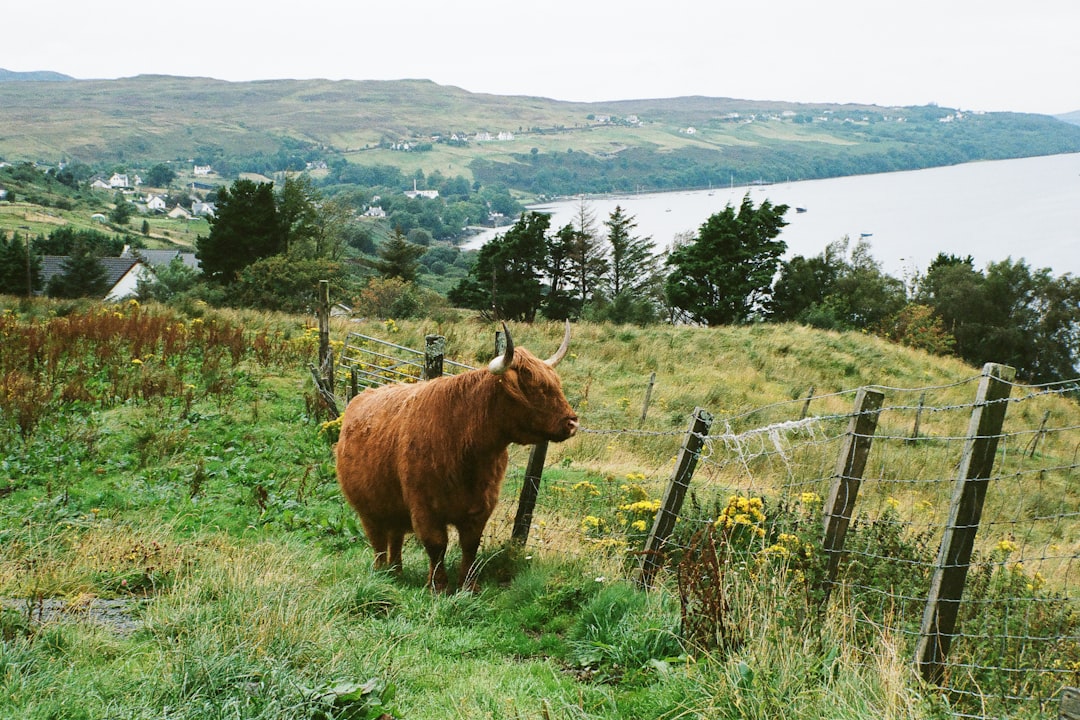 Nature reserve photo spot Isle of Skye Loch Leven