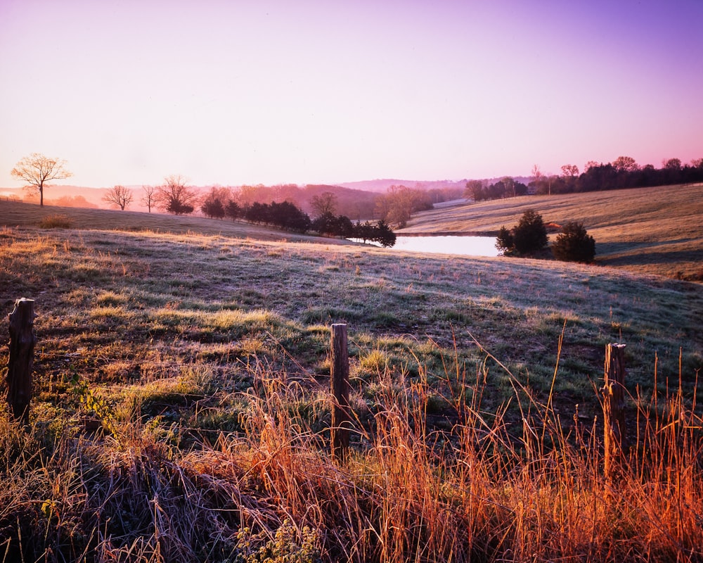 green grass field near body of water during daytime