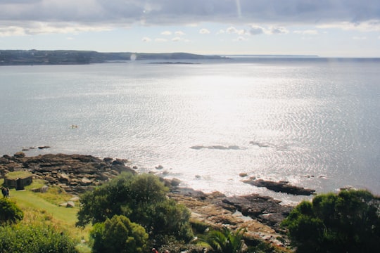 green trees near body of water during daytime in Cornwall United Kingdom