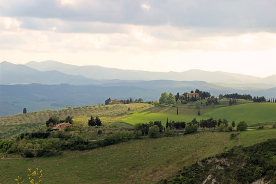 green grass field under white clouds during daytime in Volterra Italy