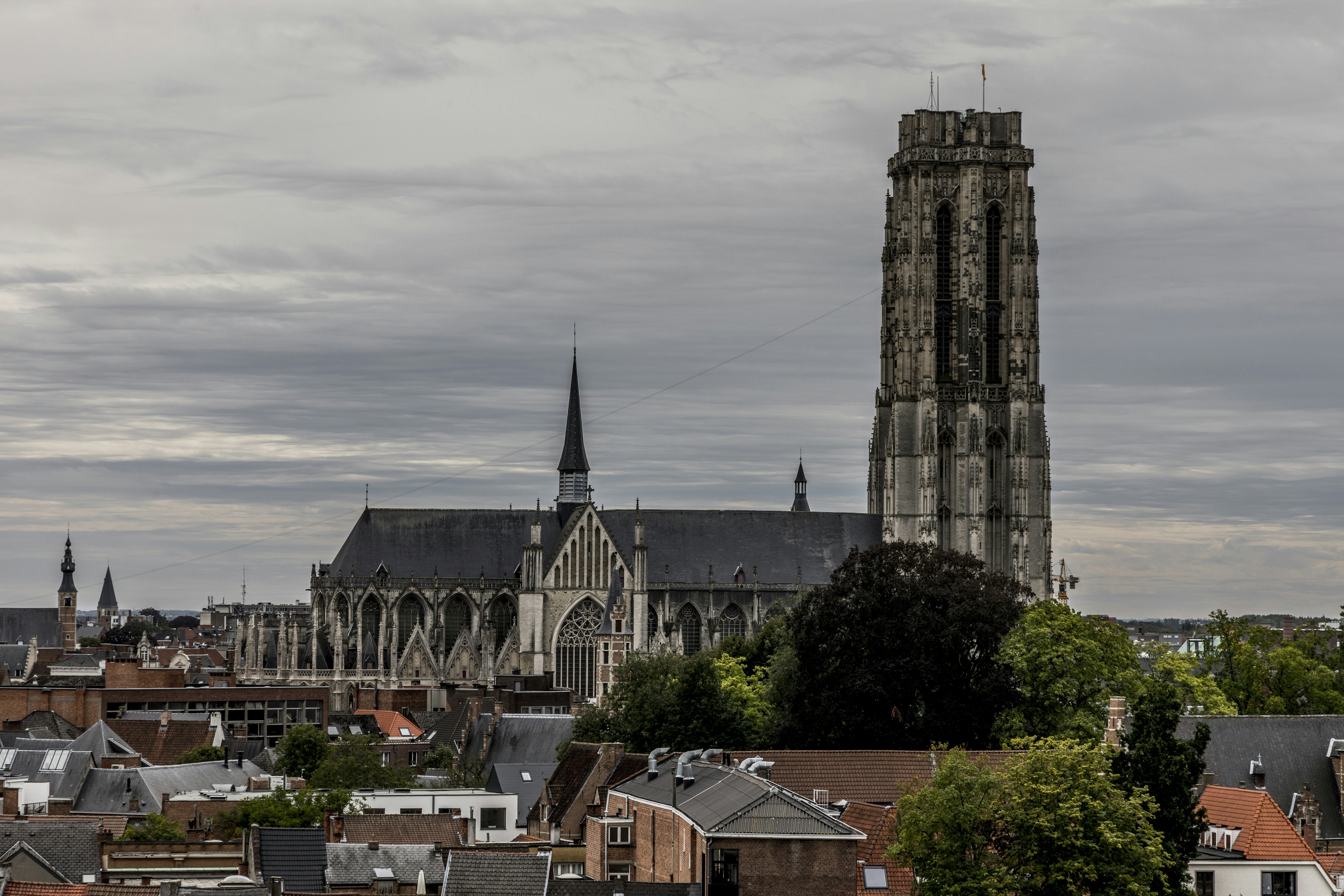 Photo by ronydeschepper