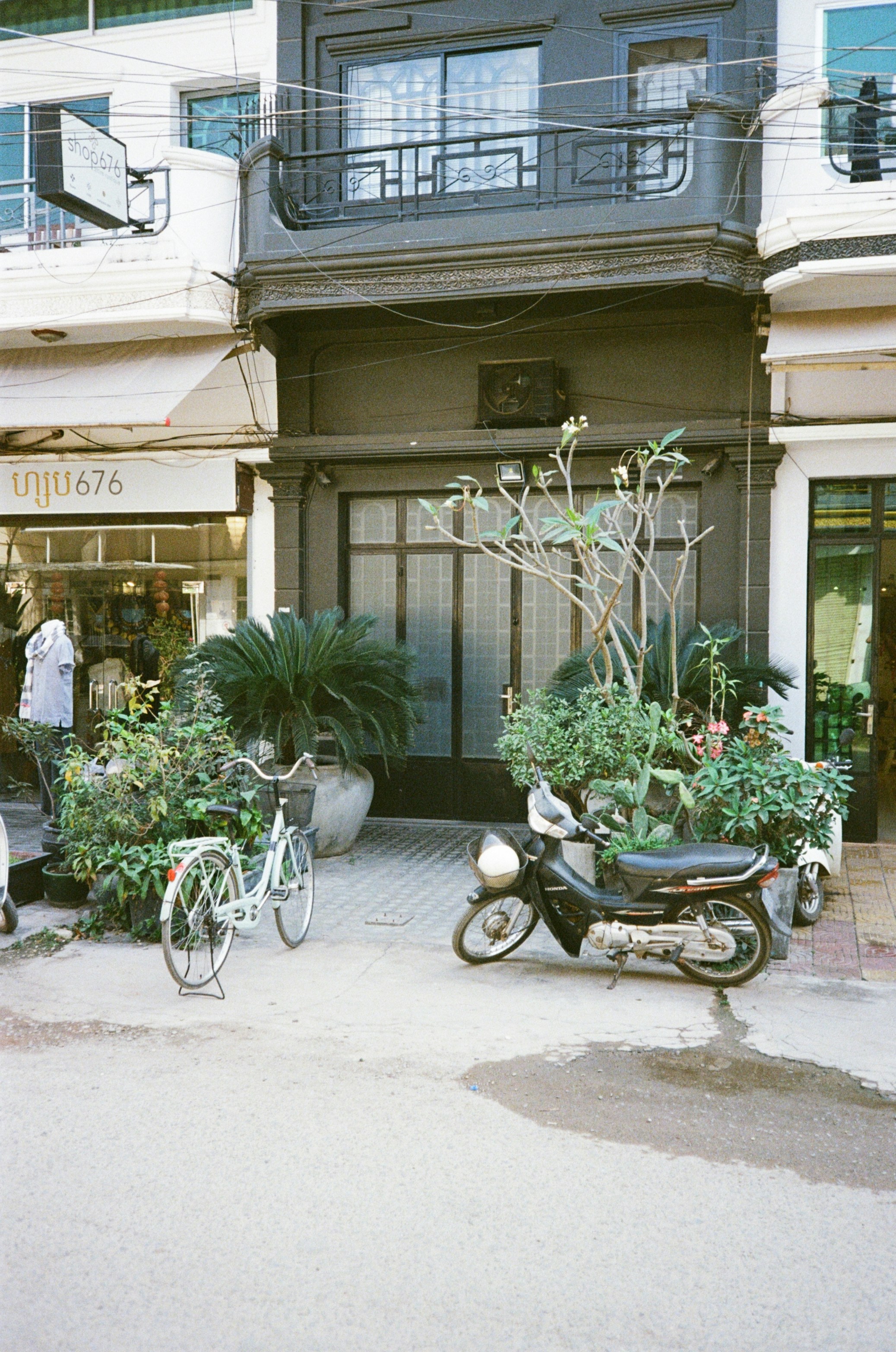 black and white motorcycle parked beside green plants