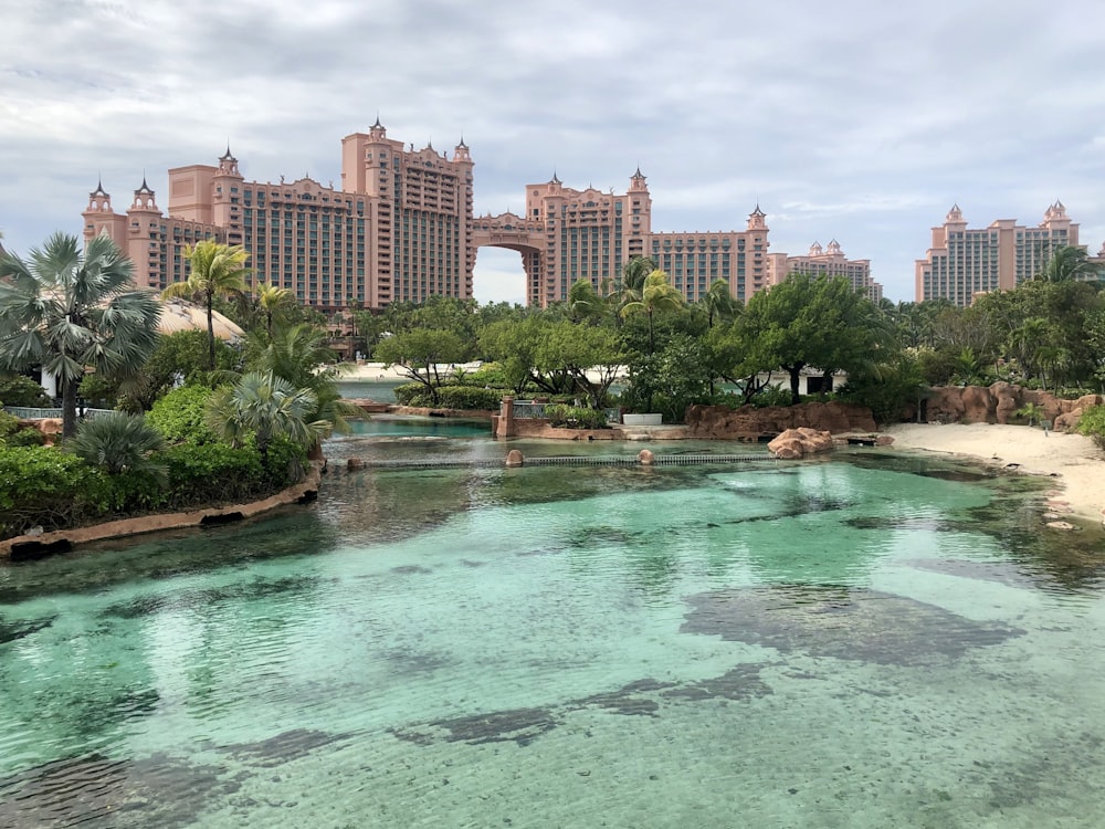 green trees near body of water during daytime