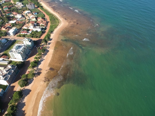 aerial view of city buildings near body of water during daytime in Anchieta Brasil