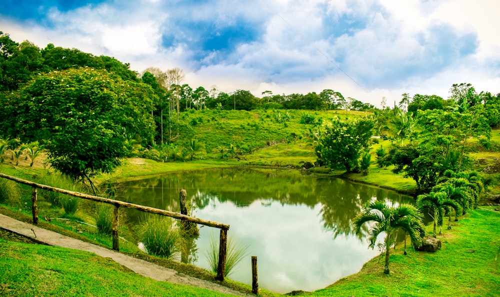 green trees beside river under blue sky during daytime