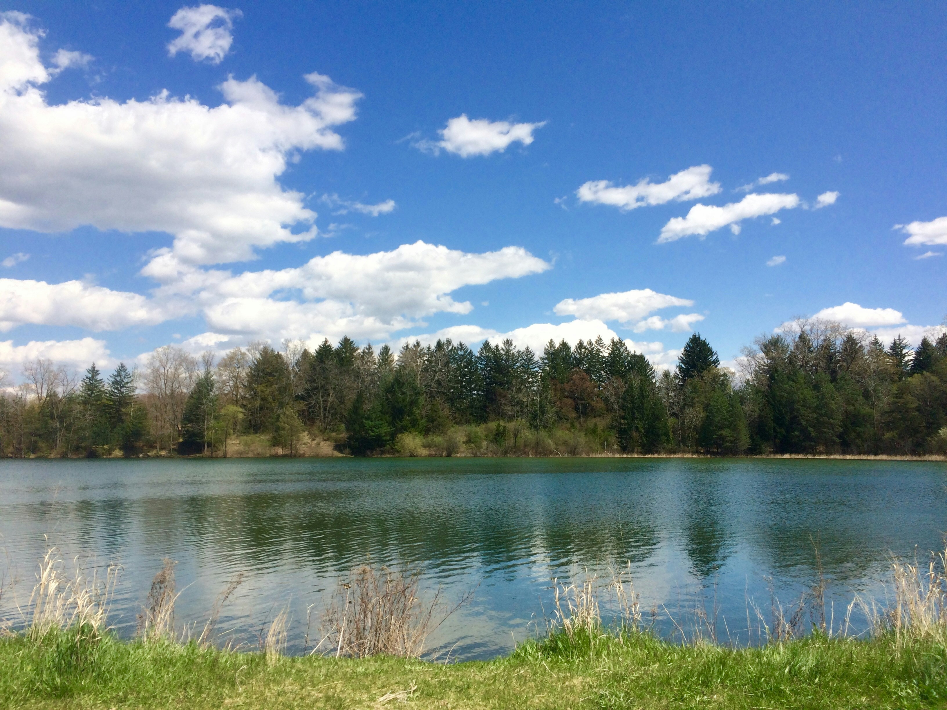 Ennes Park