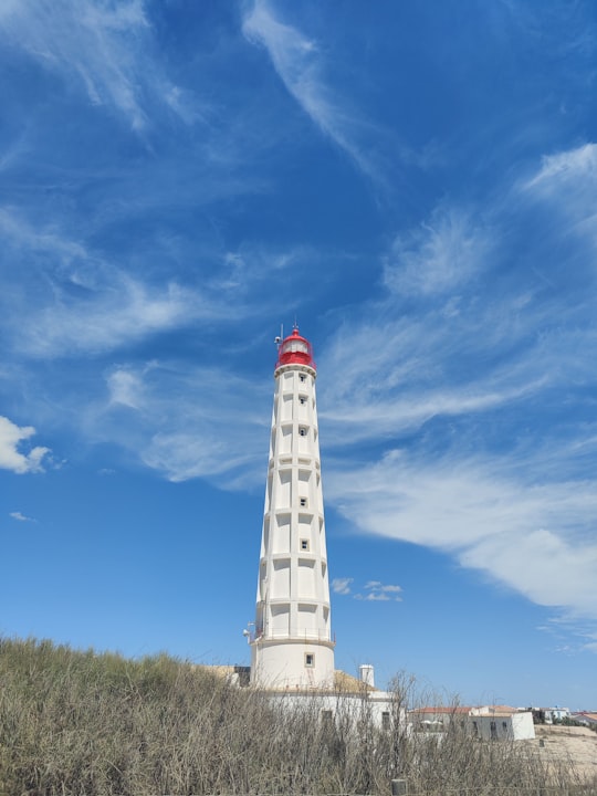 Ria Formosa Natural Park things to do in Vila Real de Santo António