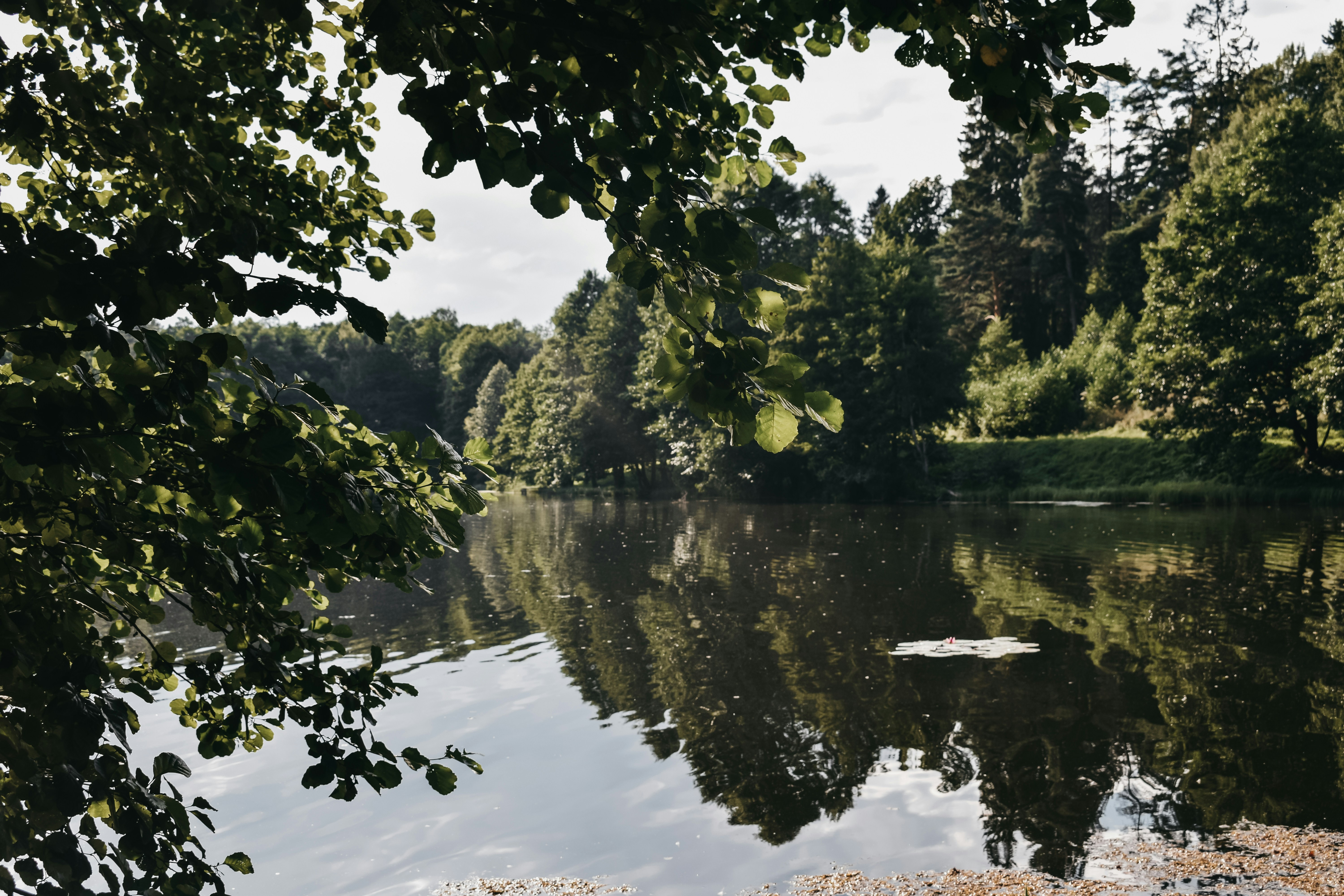 Photo by darya_tryfanava