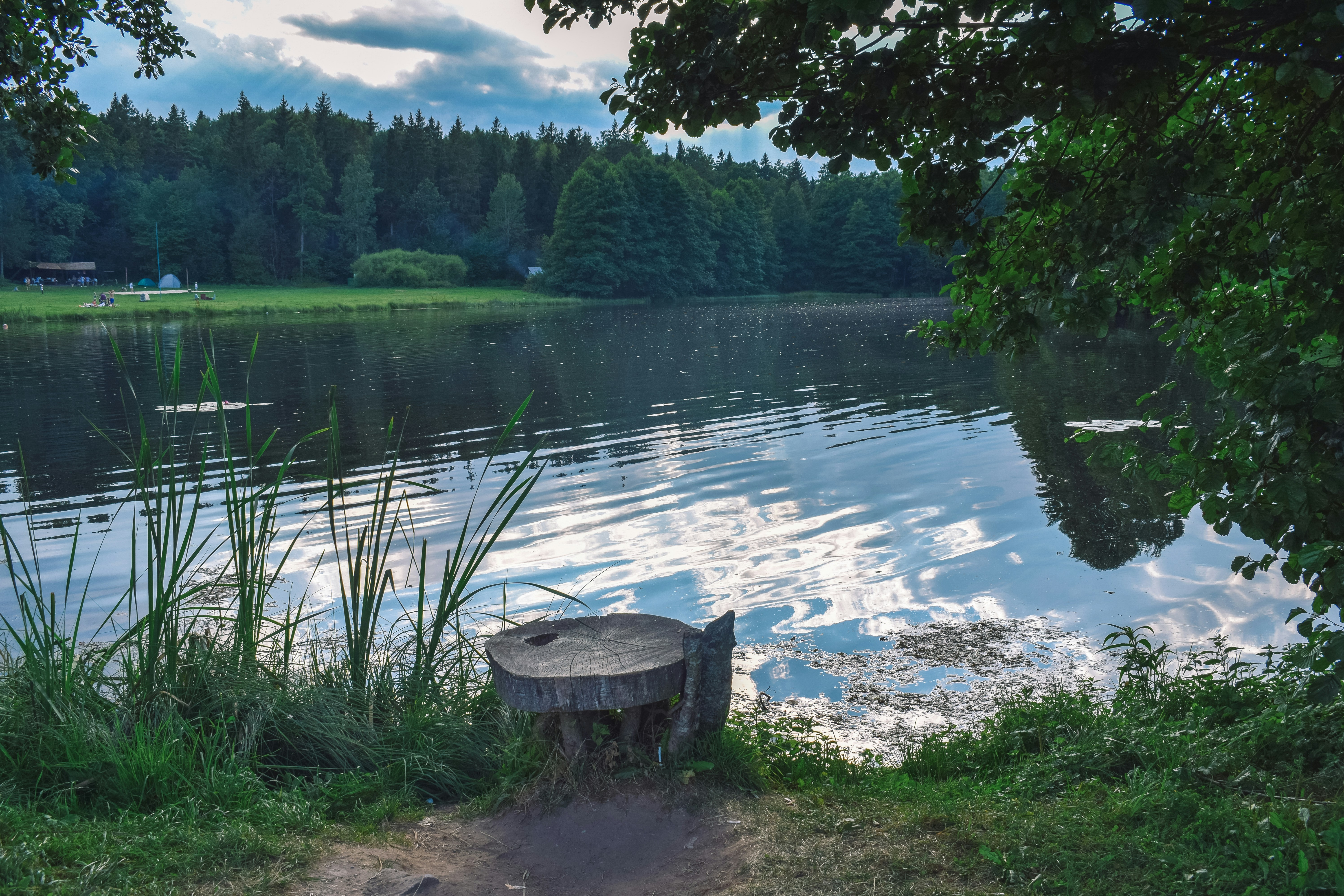 Photo by darya_tryfanava