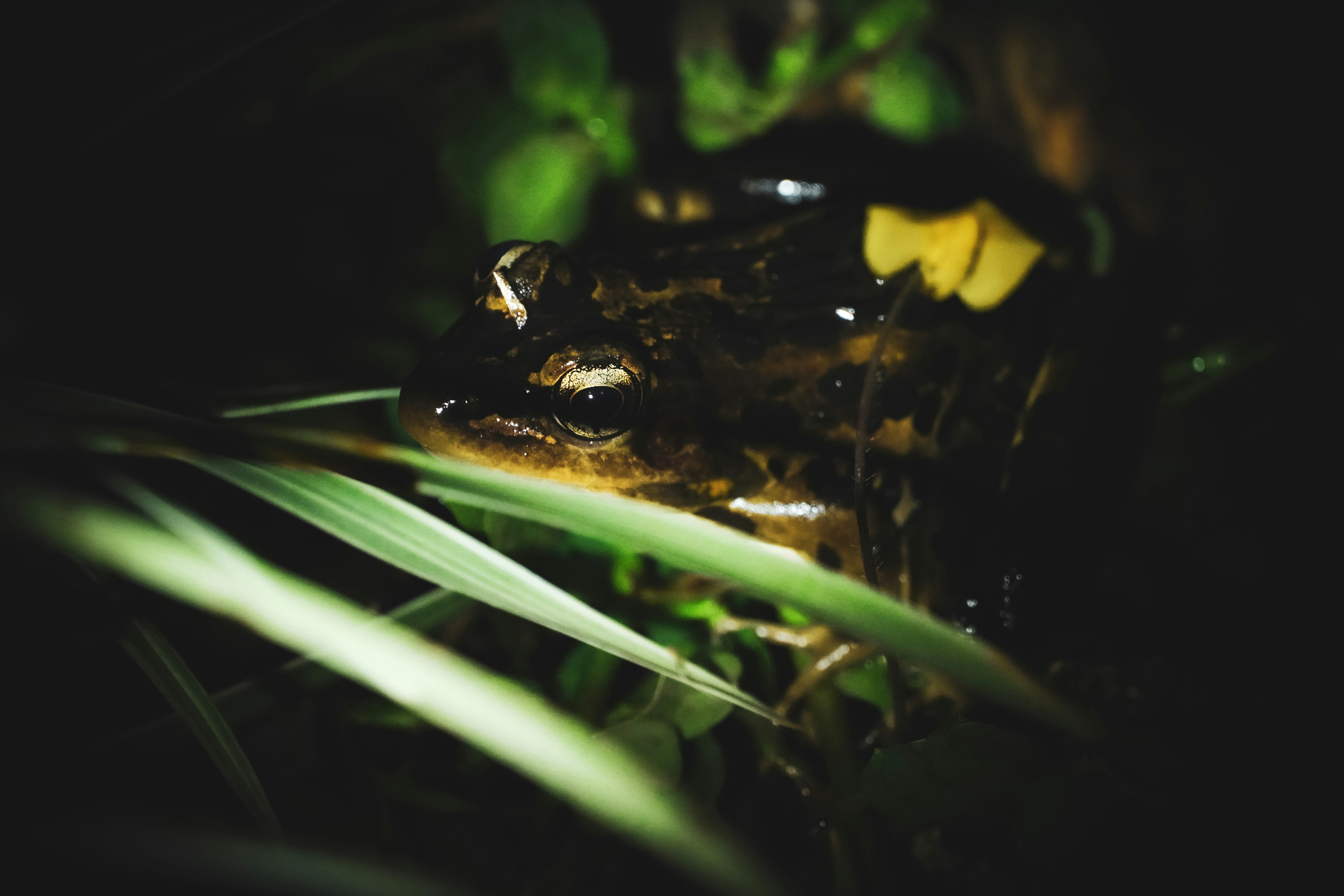 Photo by adrianvalverdem