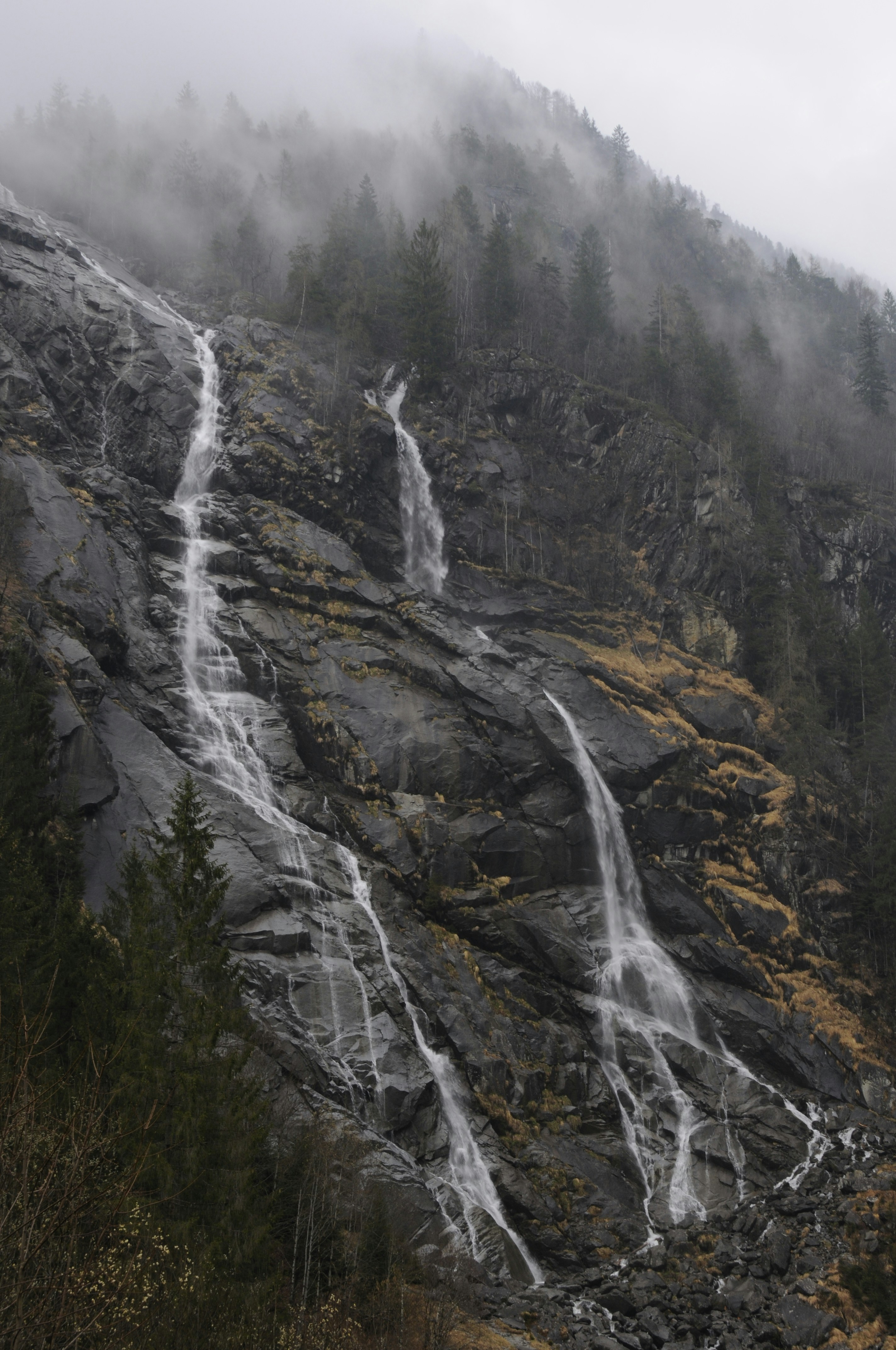 Photo by jennagaudino