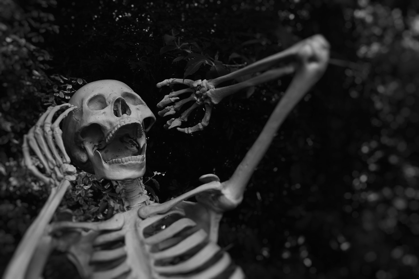 Photo by [Sabina Music Rich](https://unsplash.com/photos/grayscale-photo-of-person-wearing-mask-OJy0JHnoUZQ) on [Unsplash](https://unsplash.com/)
