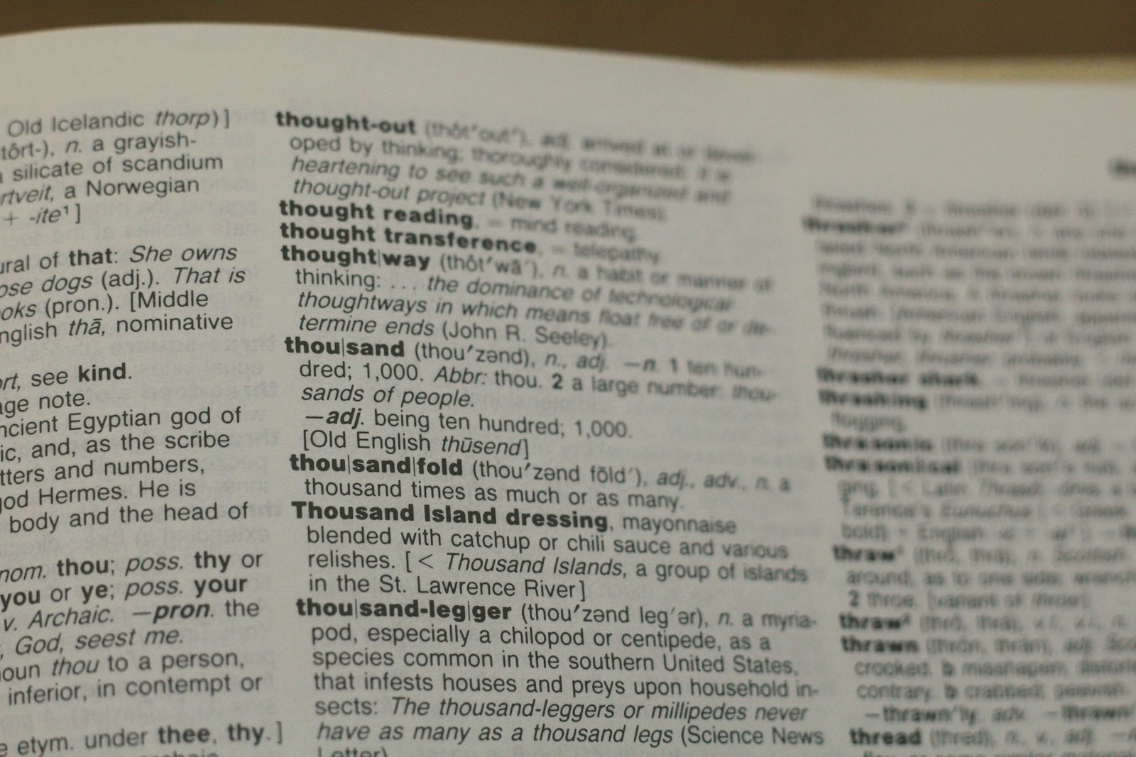 Close-up of printed text on an open dictionary page