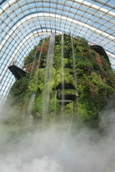 The misted, plant-covered interior of the Cloud Forest conservatory
