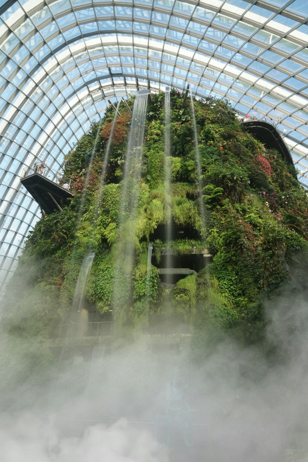 plantas verdes dentro de um edifício