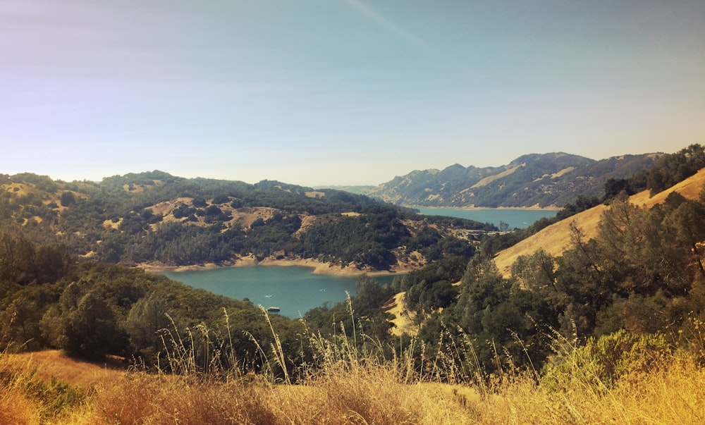 green and brown mountains near body of water during daytime