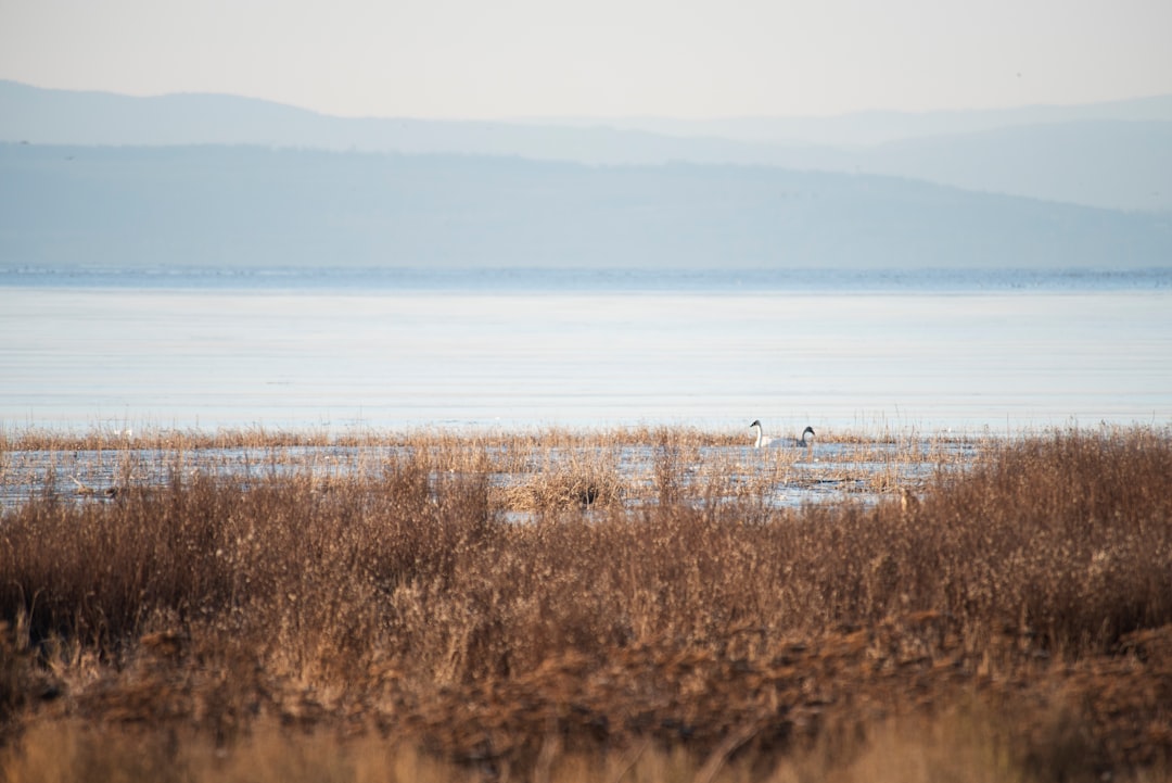 Nature reserve photo spot Delta Murrin Provincial Park