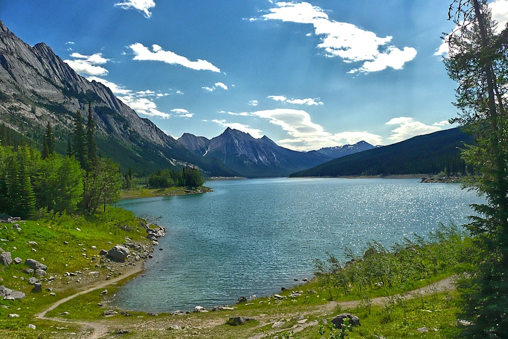 green trees near lake under blue sky during daytime