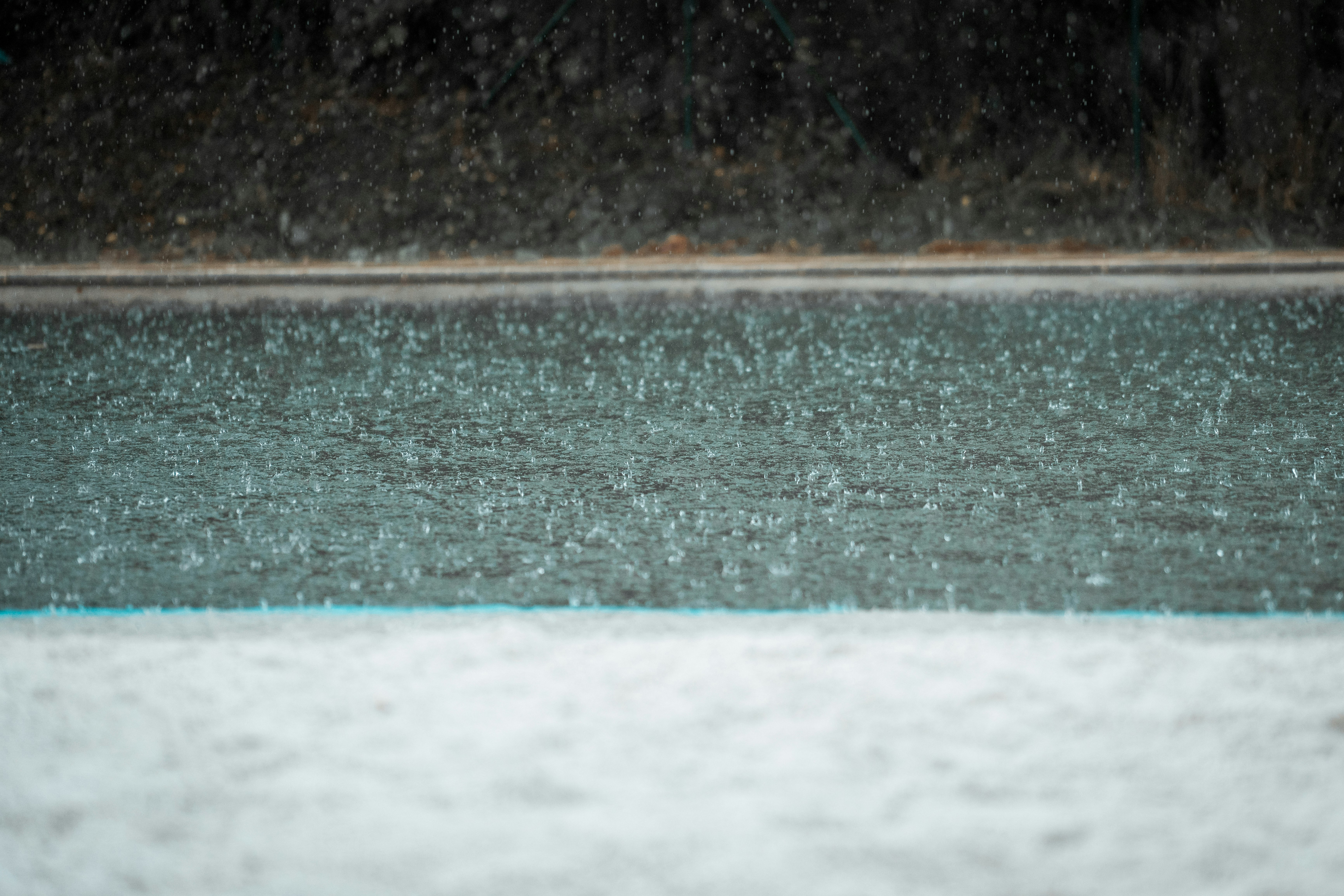 body of water near green trees during daytime