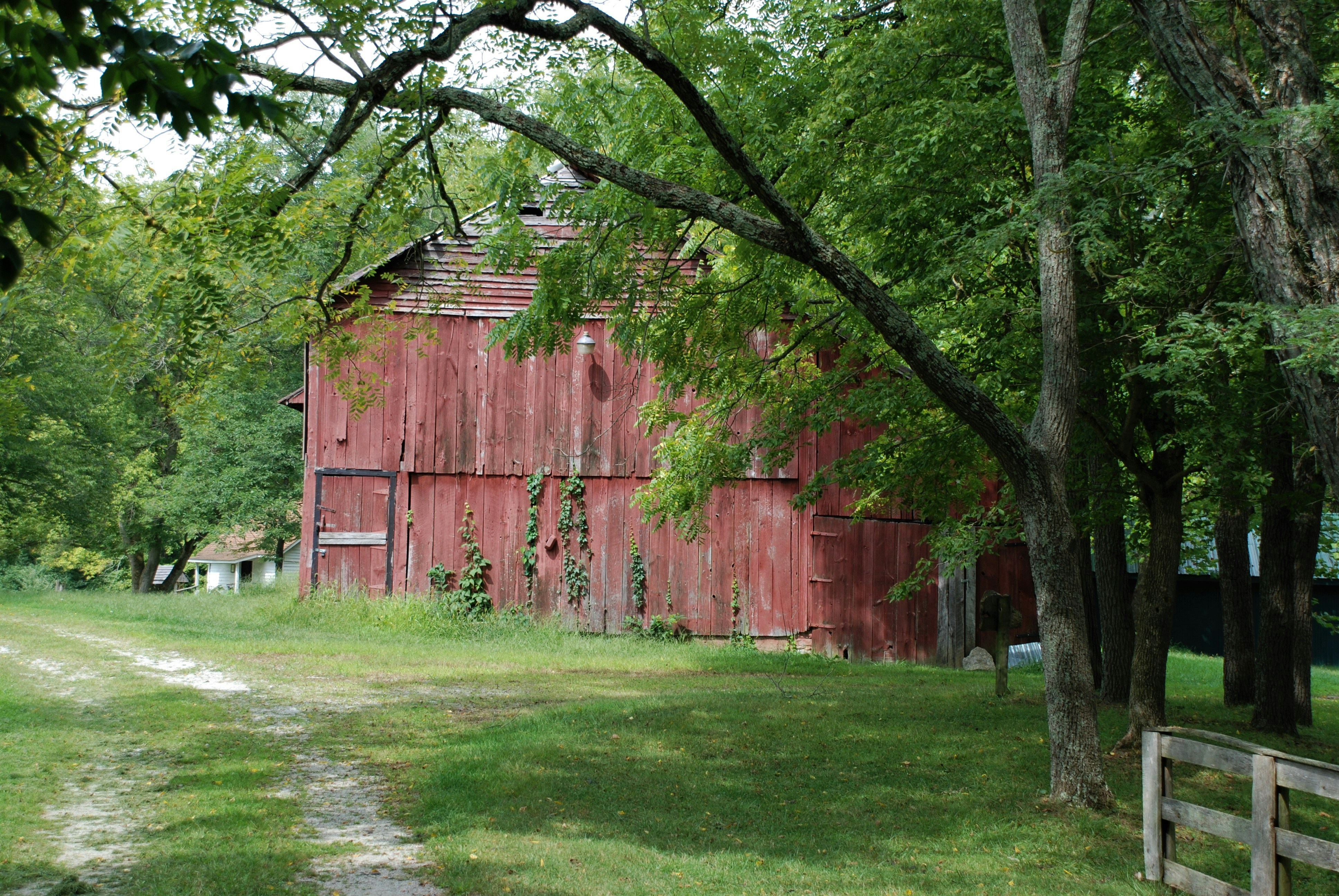 Large weathered timber barn with open doors revealing hay bales inside, surrounded by green California pasture land