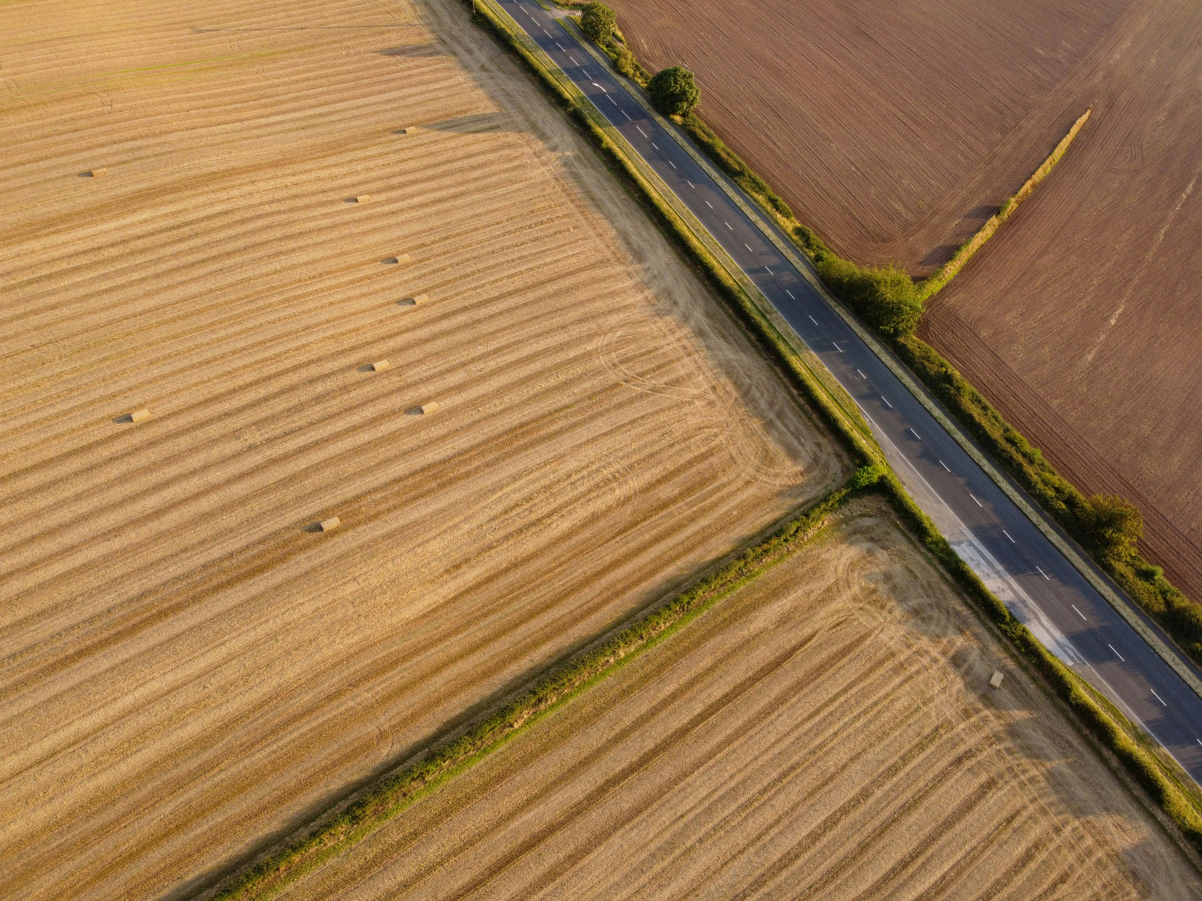 Photo by benofthenorth