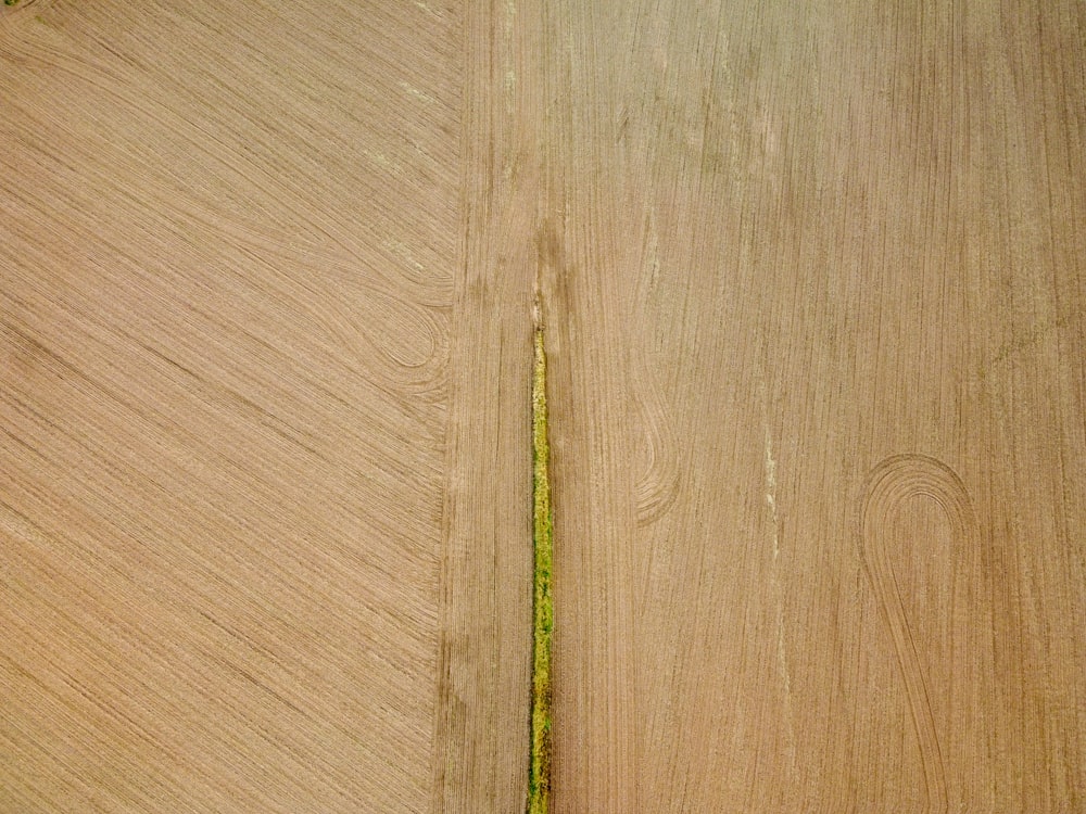 bastone verde su superficie di legno marrone