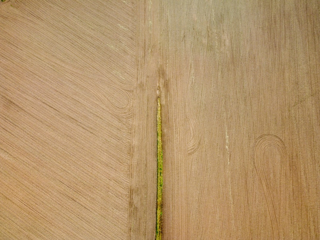 green stick on brown wooden surface