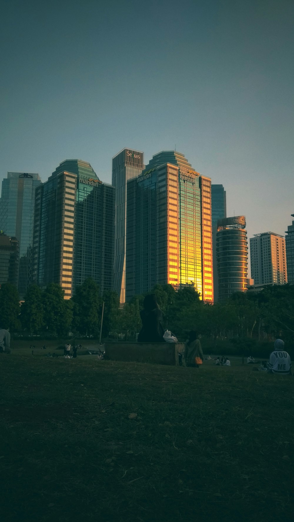 people sitting on grass field near high rise buildings during daytime