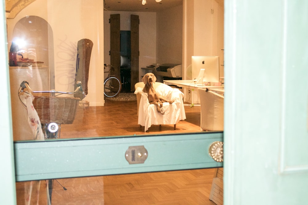 man in white robe sitting on chair