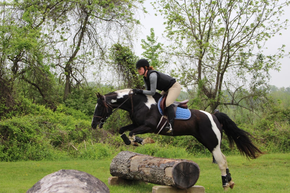 man riding black and white horse during daytime