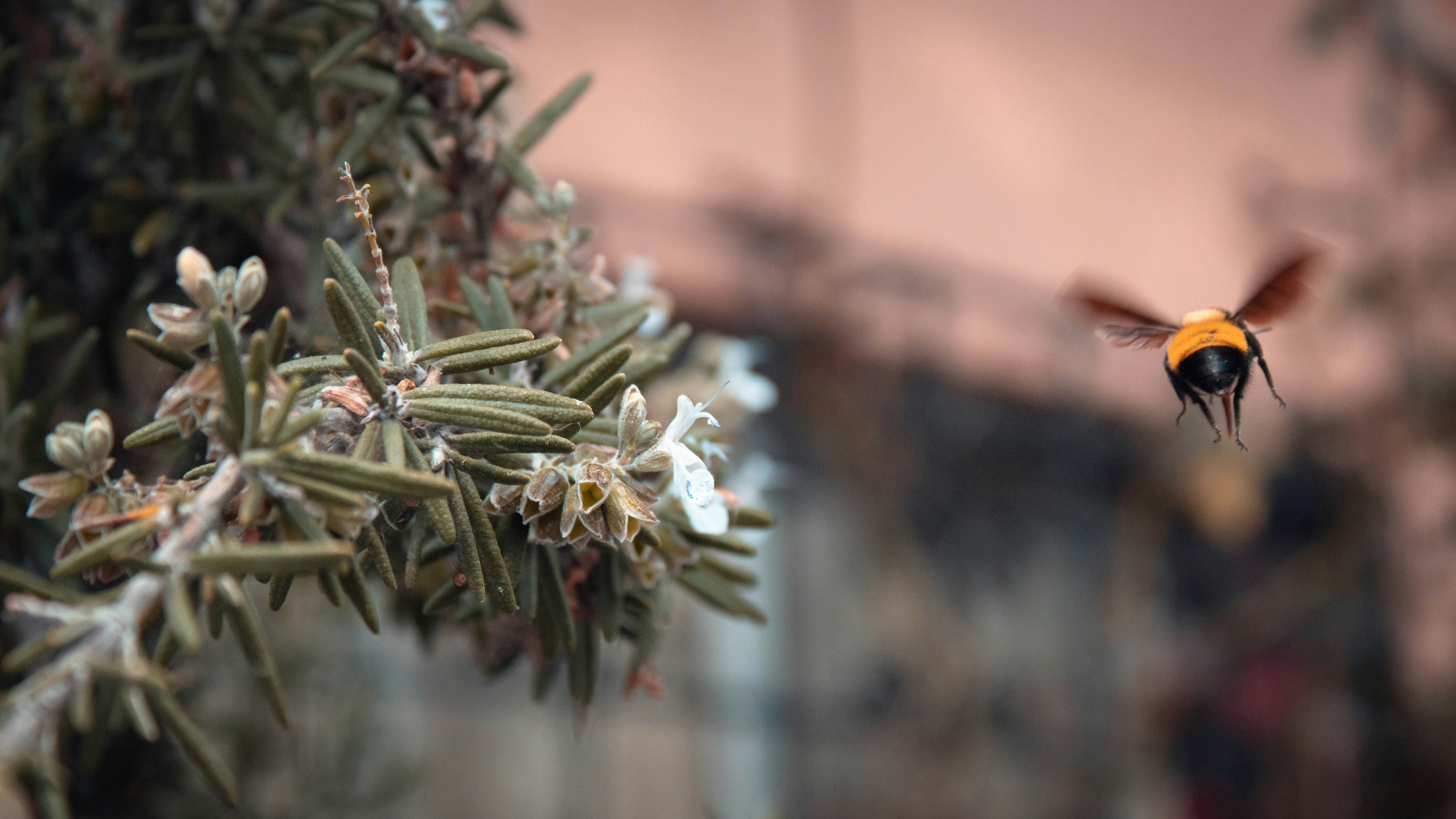 Photo by brianalatorre