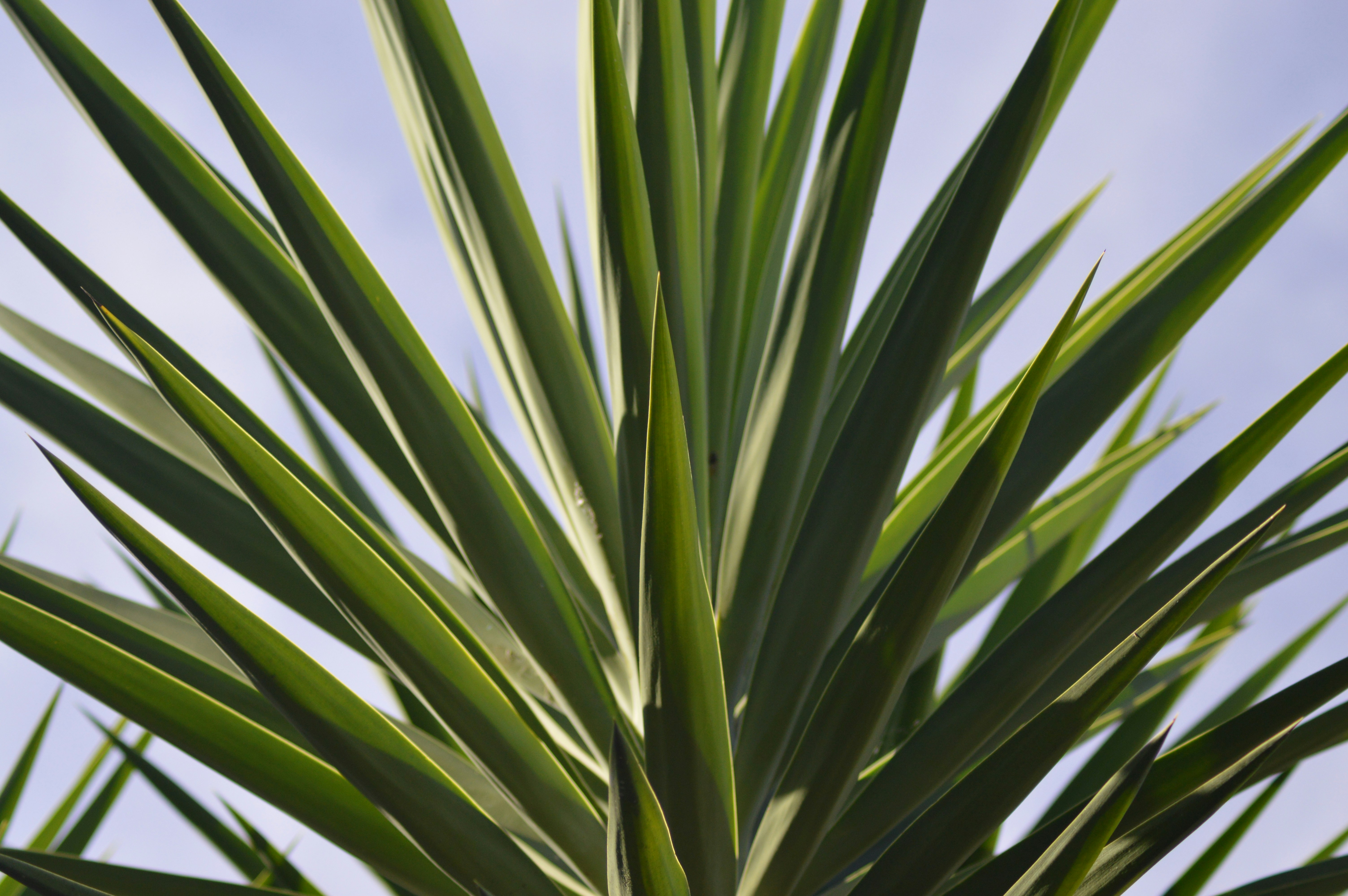 Photo by hallofmypictures