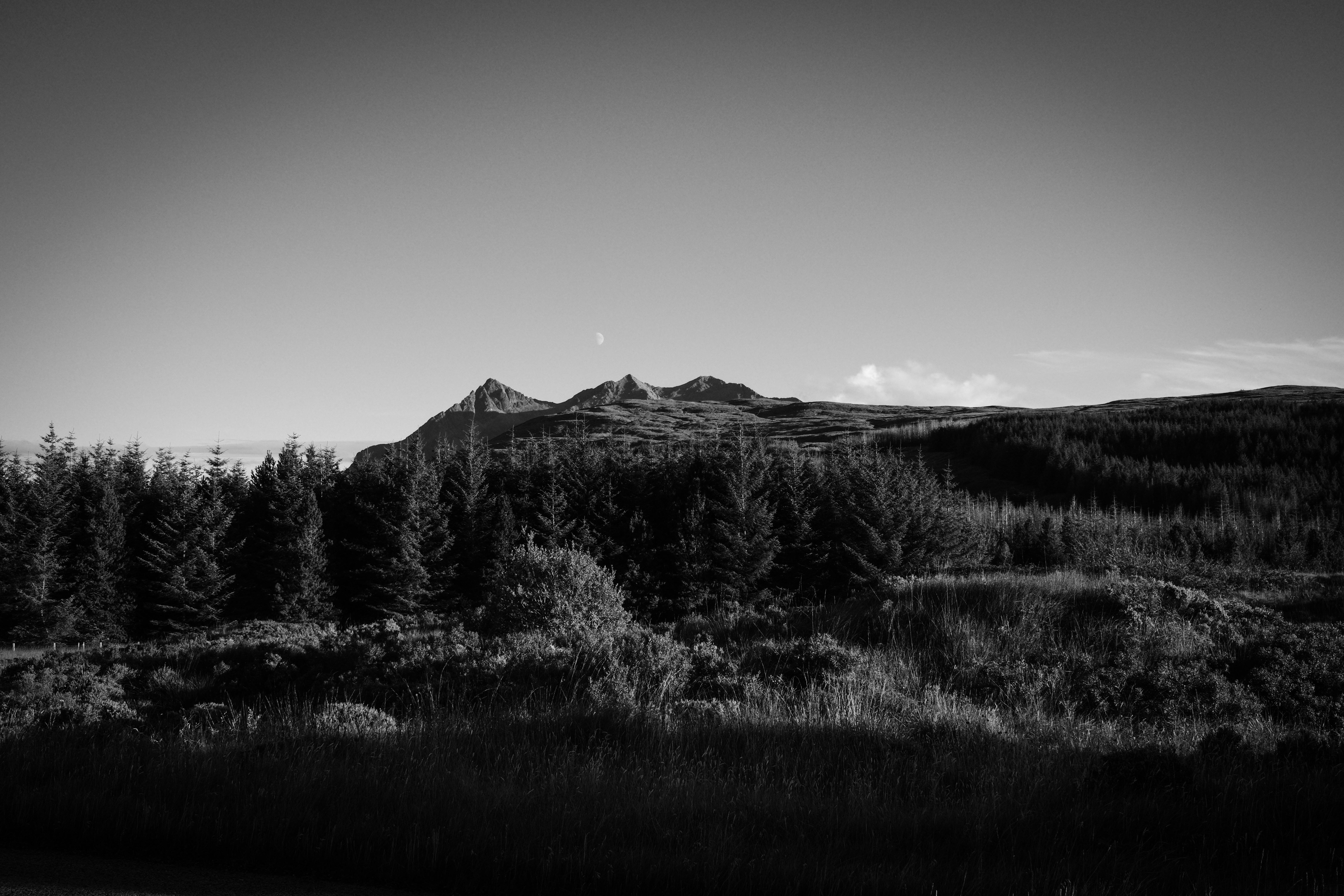 Photo by tomasrobertson