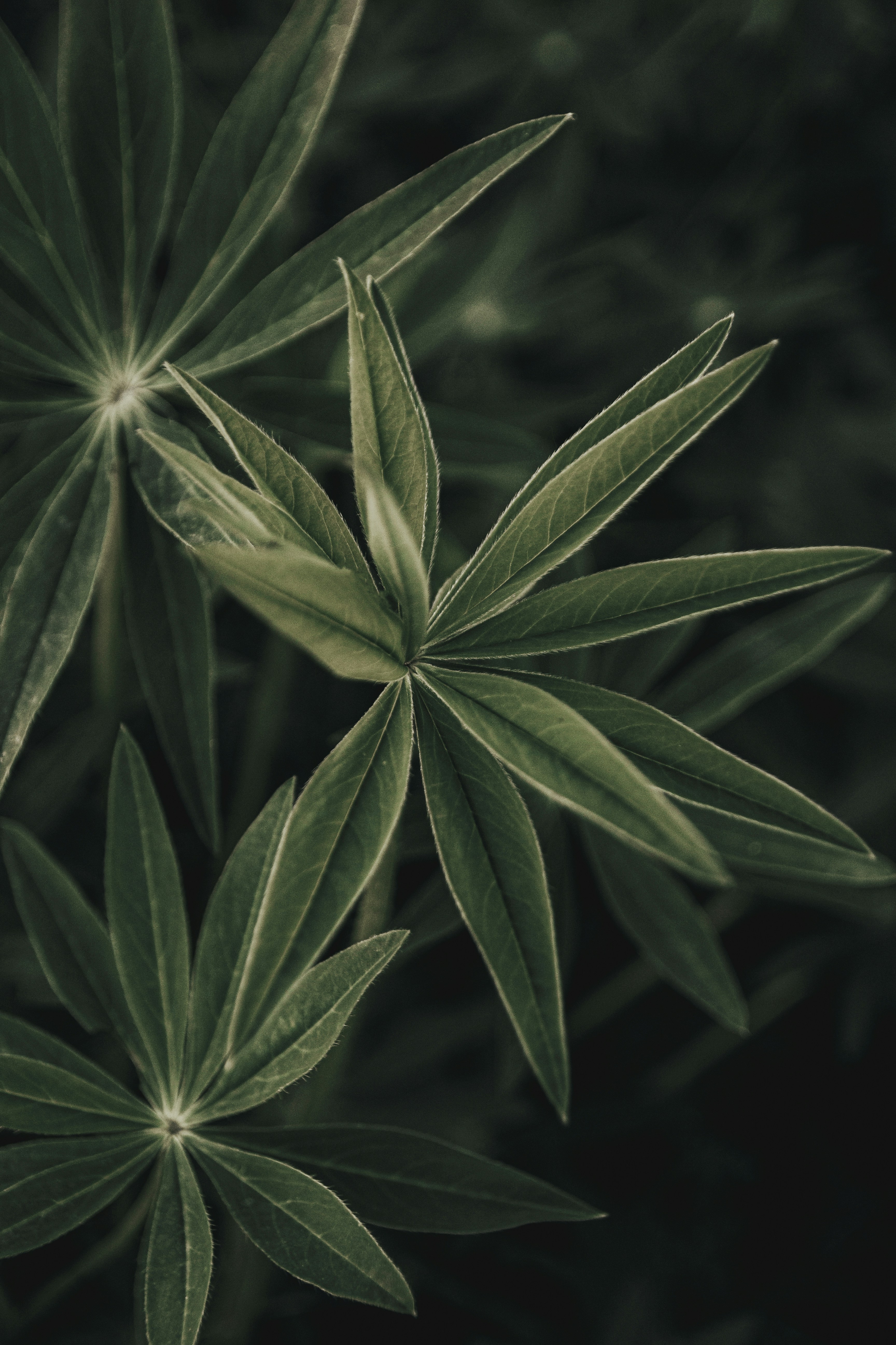 Photo by artstanulevich