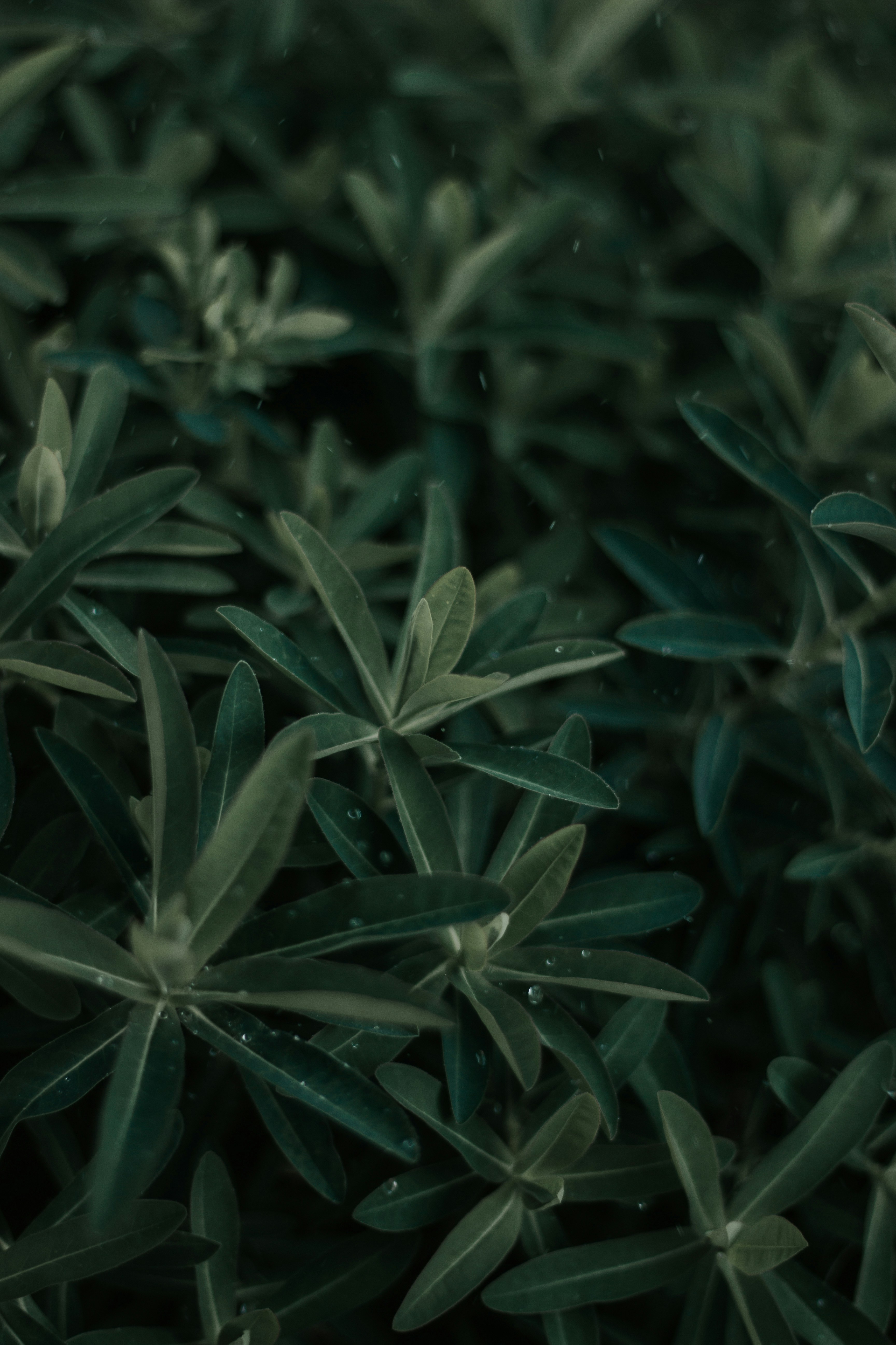 Photo by artstanulevich