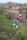 A person wearing a helmet and colorful clothing is zip-lining across a lush, green forest landscape. The background features rocky cliffs and sparse vegetation, with mountains in the distance. The person appears engaged and focused, enjoying an adventurous outdoor activity.
