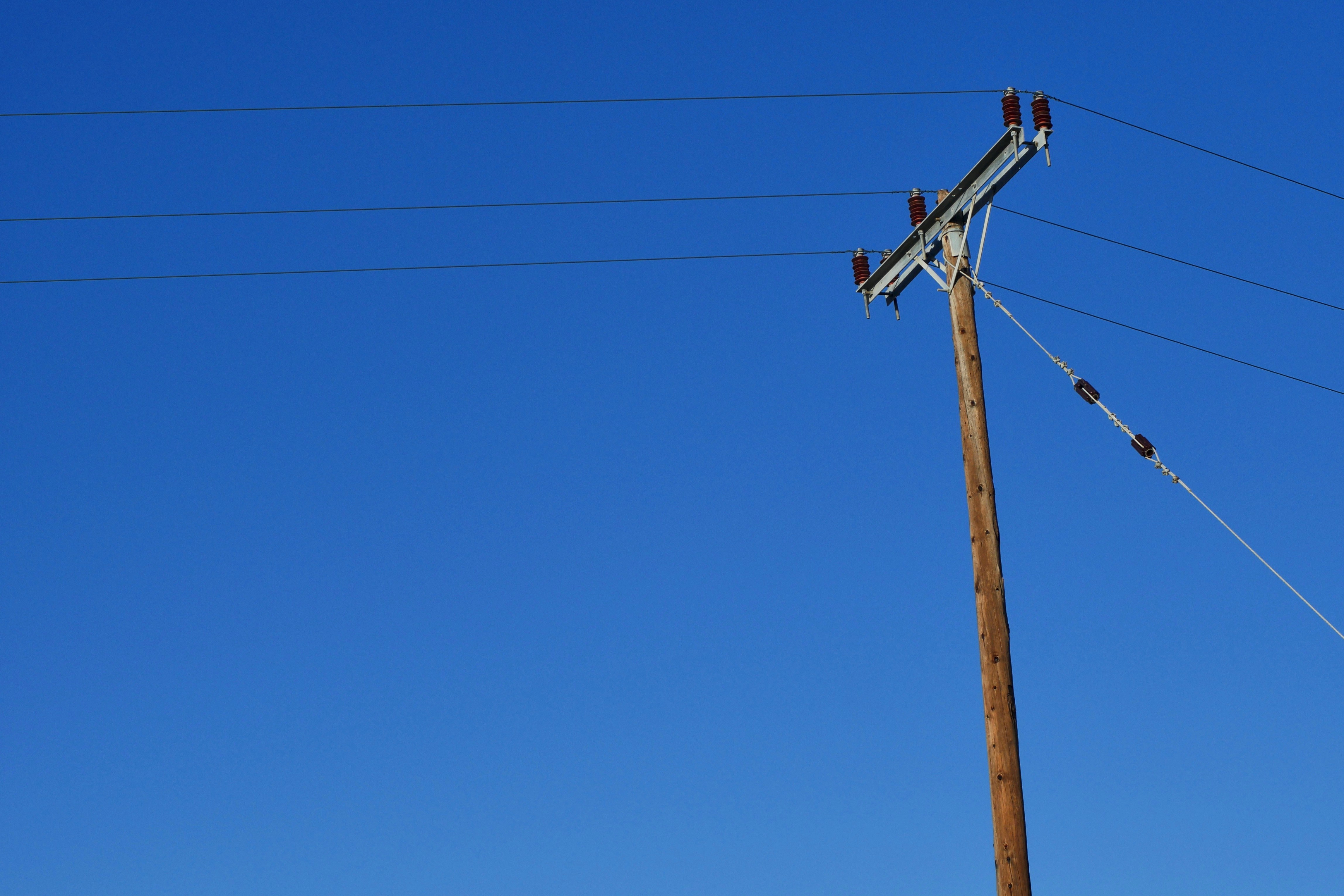 Photo by frederikmerten