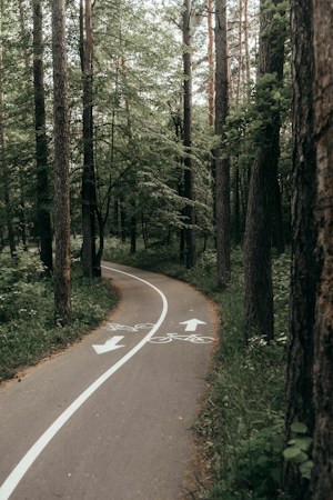 A wide paved shared use path through a green park with trees on both sides
