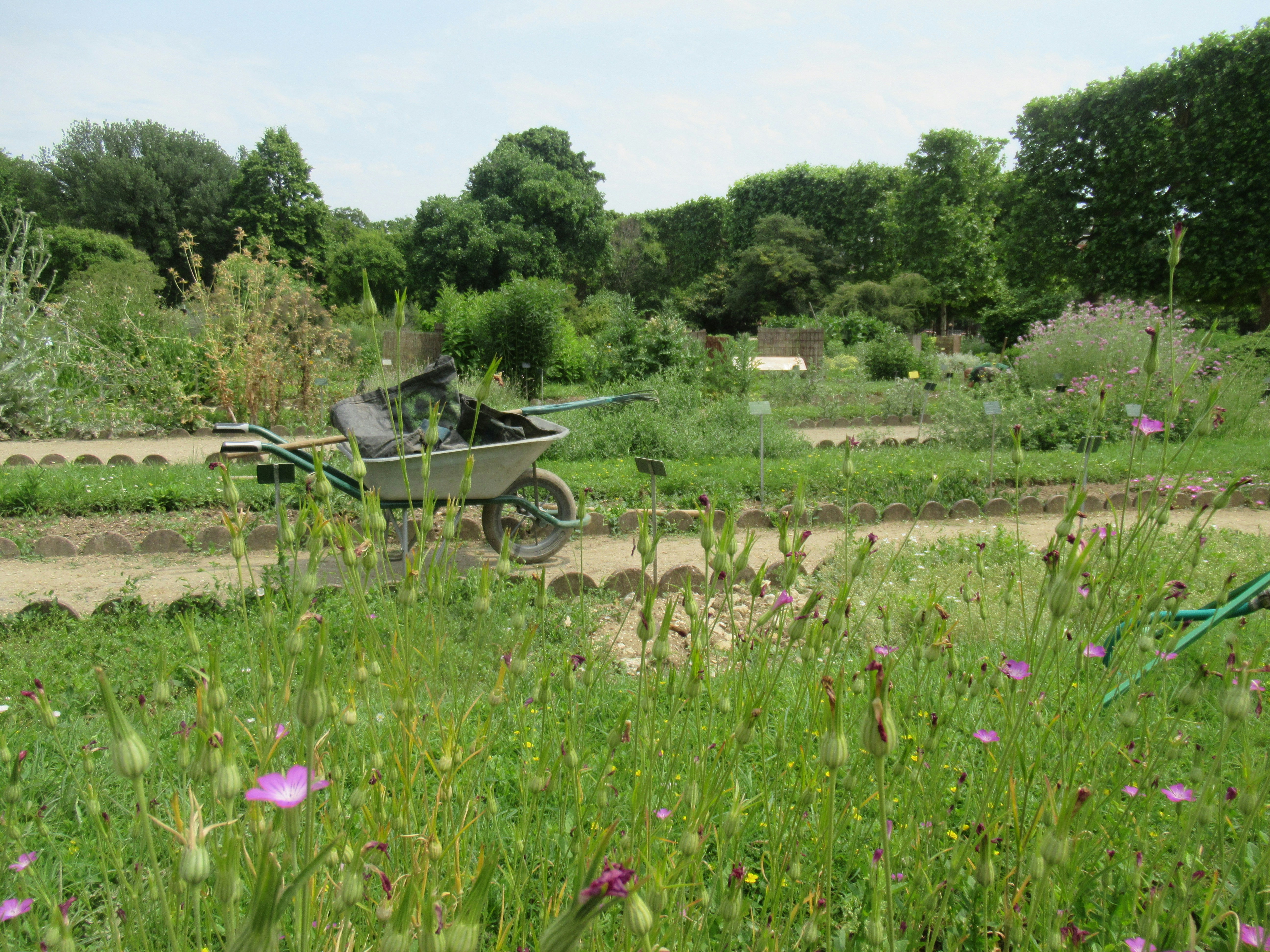 Jardin et potager du CPAS d'Aubange