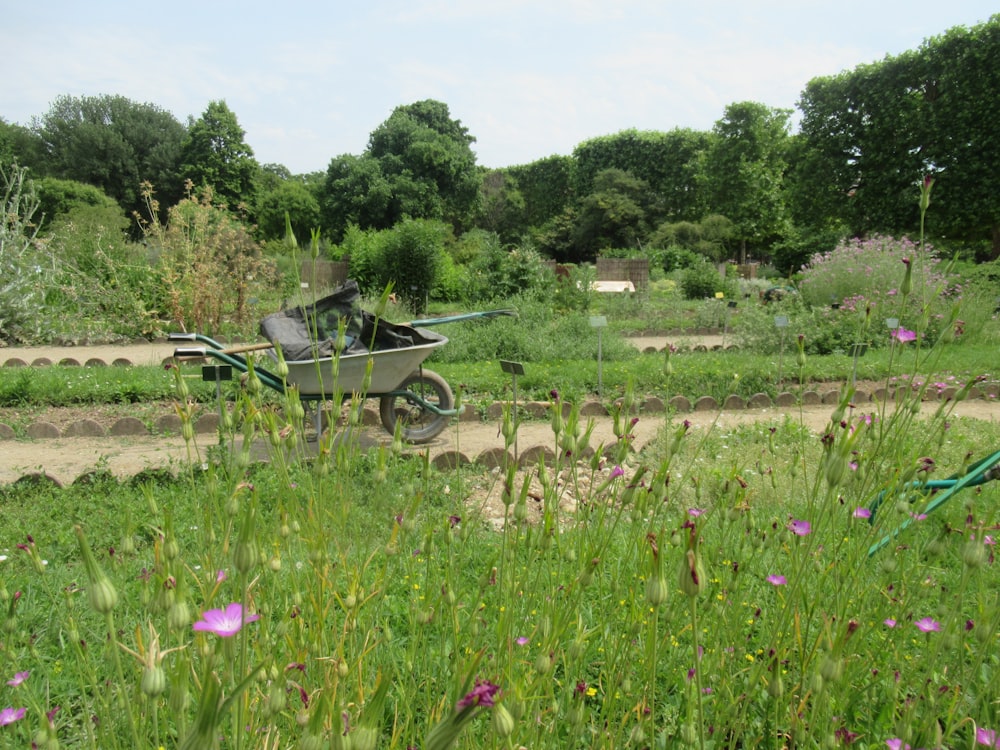 Grünes Grasfeld in der Nähe von grünen Bäumen während des Tages