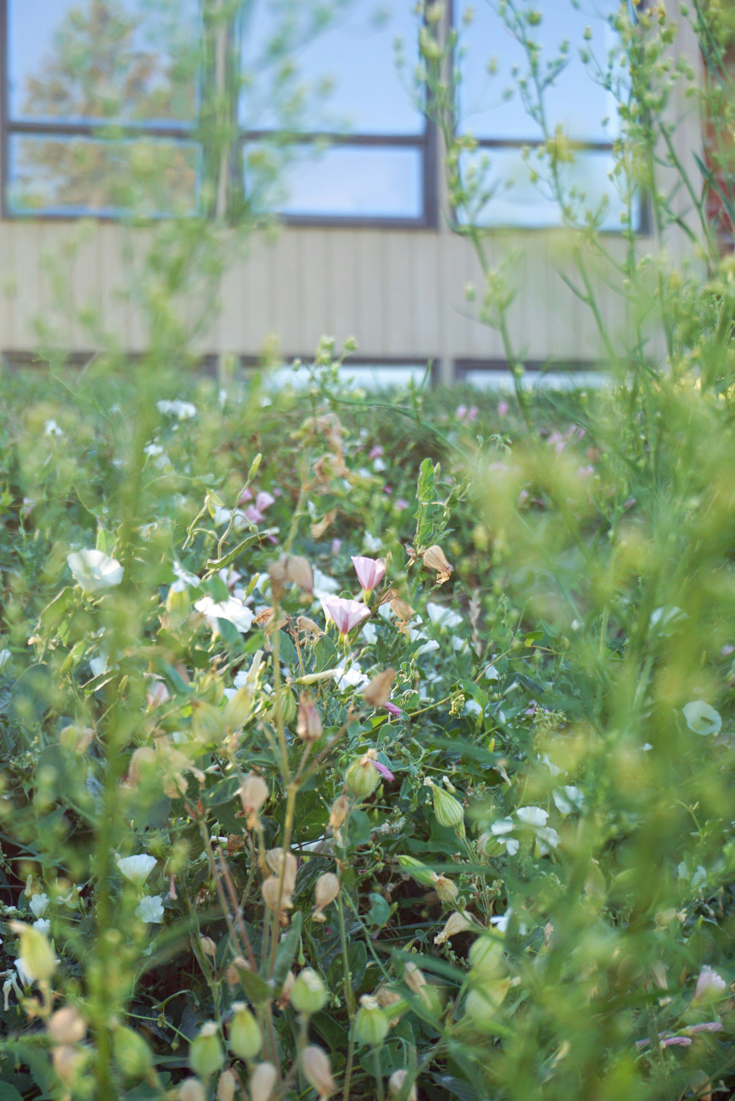 Photo by danicastradecke