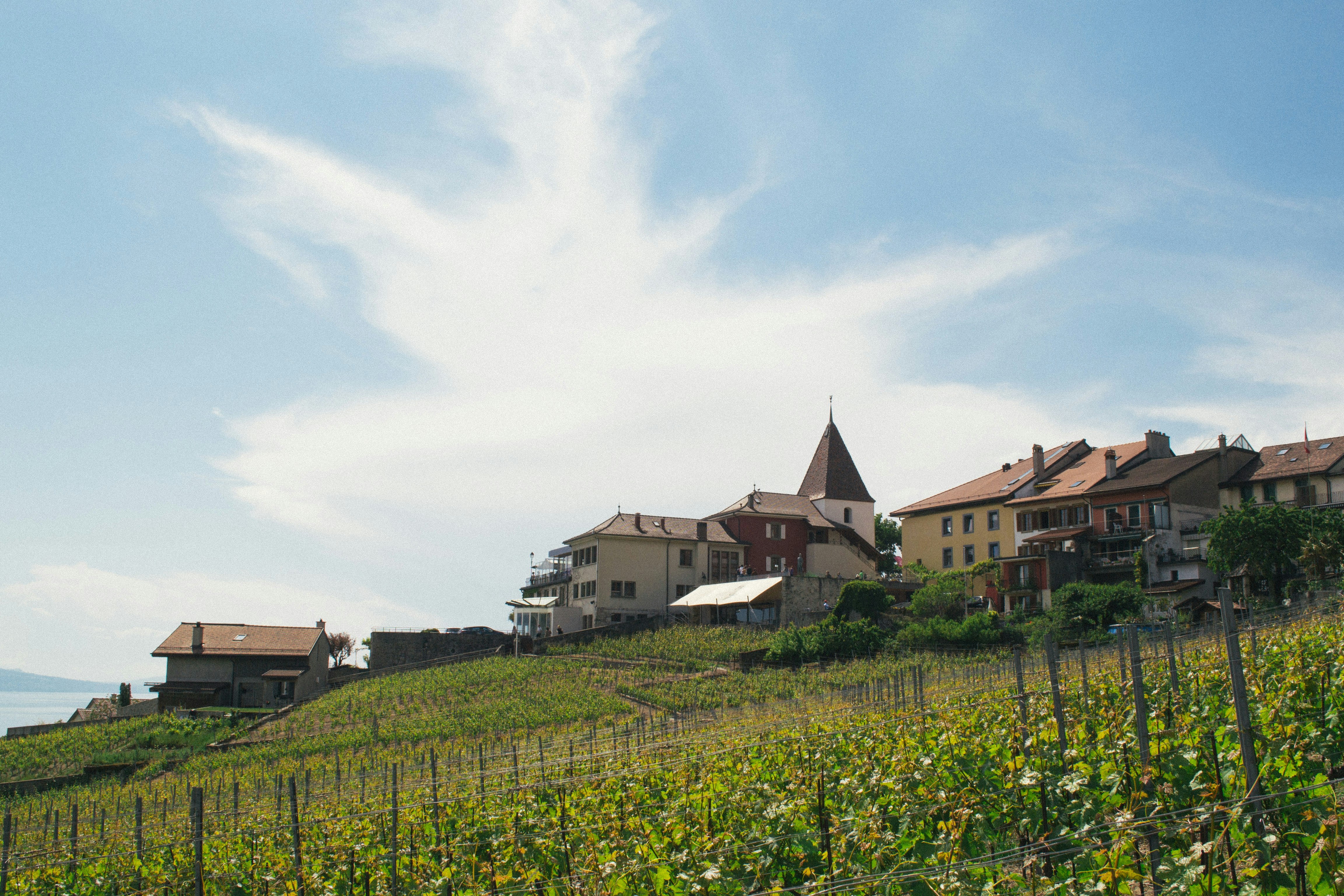 Lavaux-Oron taxi service