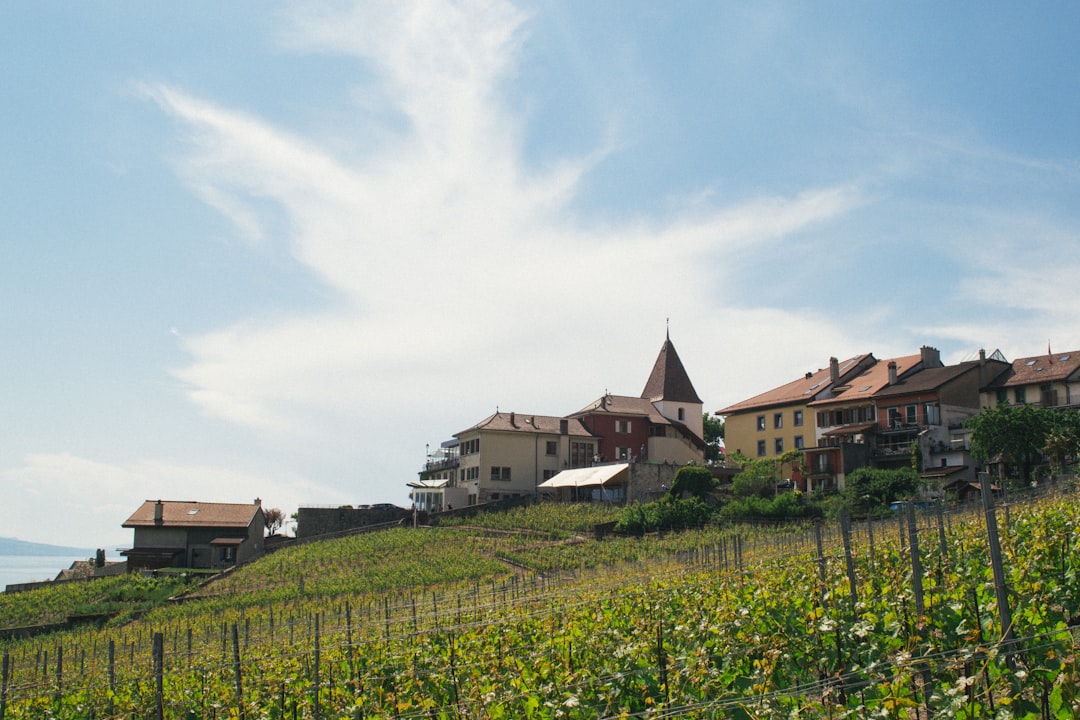 Town photo spot Lavaux Les Avants